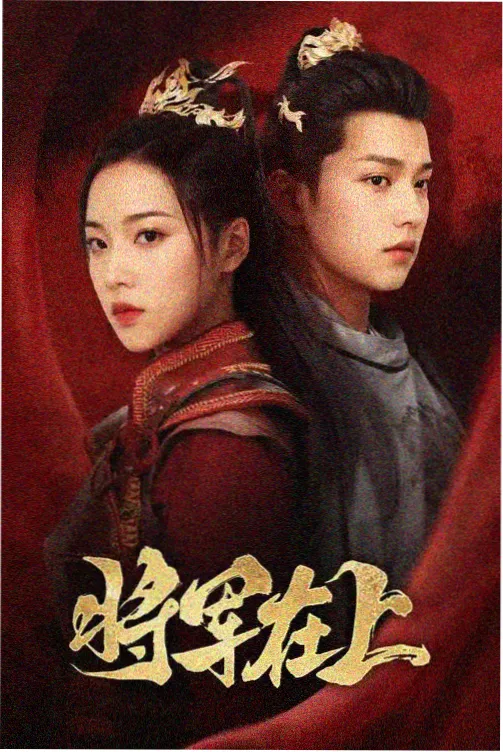 一可影视热播剧 雾港档案